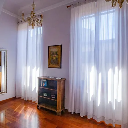 Daire Acacia -tulipano *